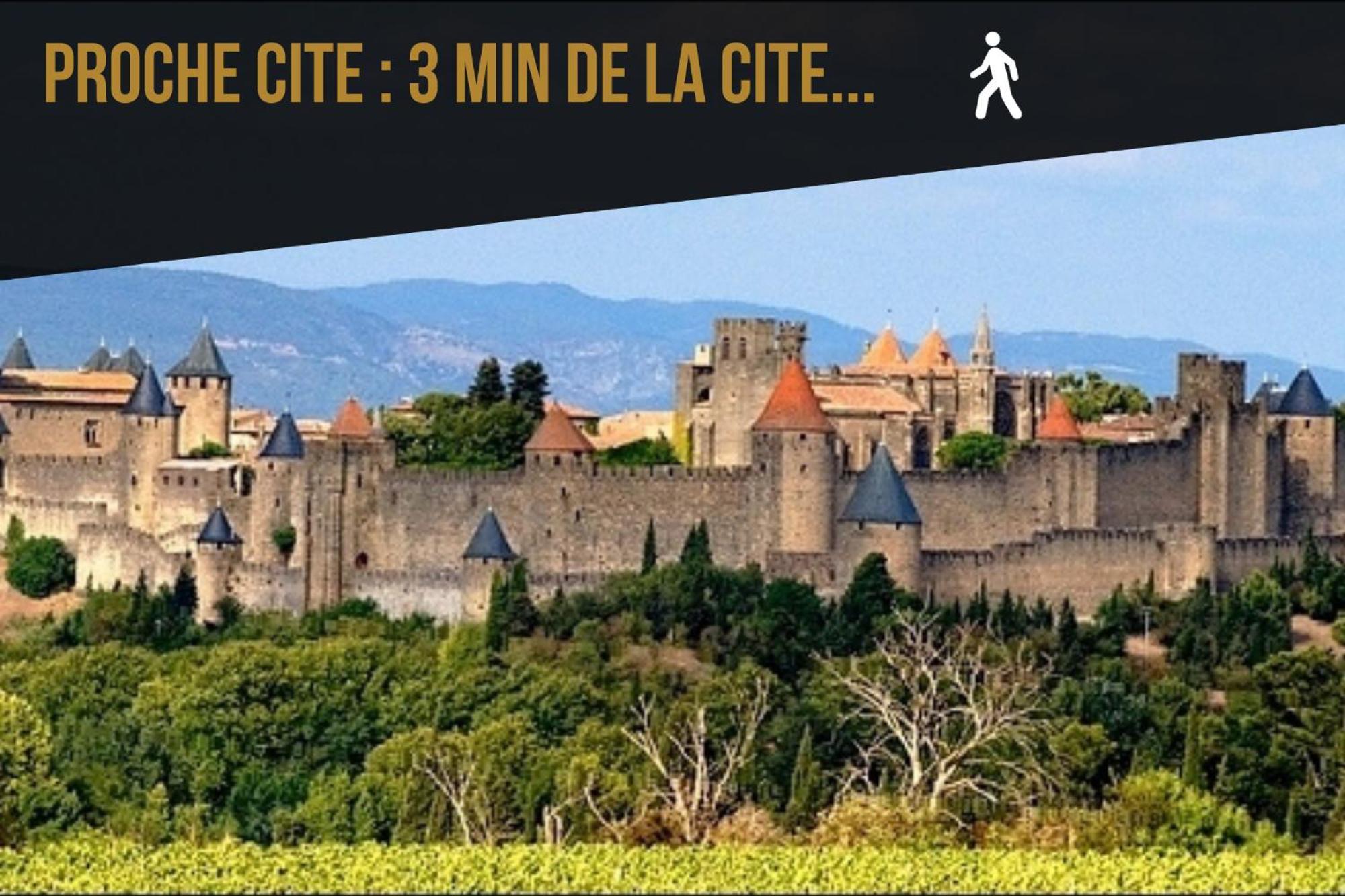 Les Gites De Laure - L'Or Vert, Appartement Avec Vue Sur Le Chateau, Parking Prive, Climatisation, Netflix, A 160 M De La Cite Medievale Carcasona Exterior foto